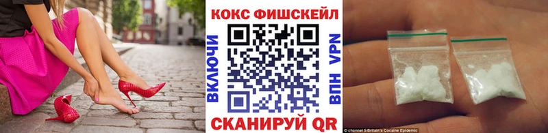 купить наркотик  Козловка  Cocaine FishScale 