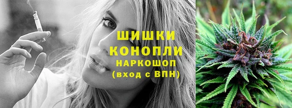 шишки Алексин