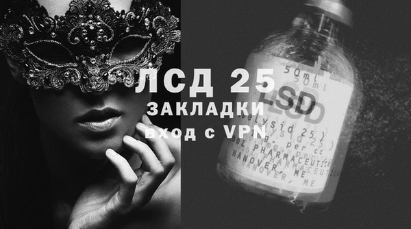 шишки Алексин