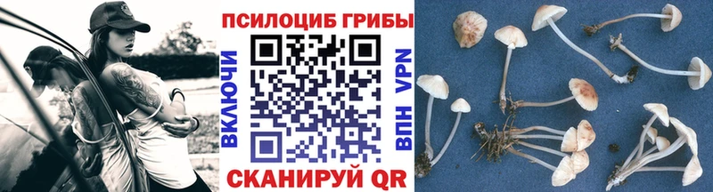 мега ONION  Козловка  Галлюциногенные грибы Cubensis  купить наркотики цена 