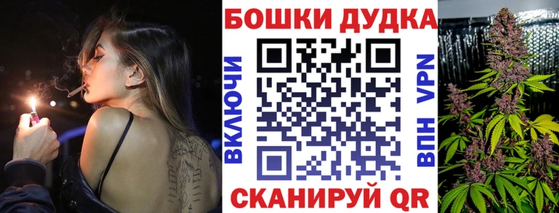 Бошки марихуана THC 21%  закладки  Козловка 
